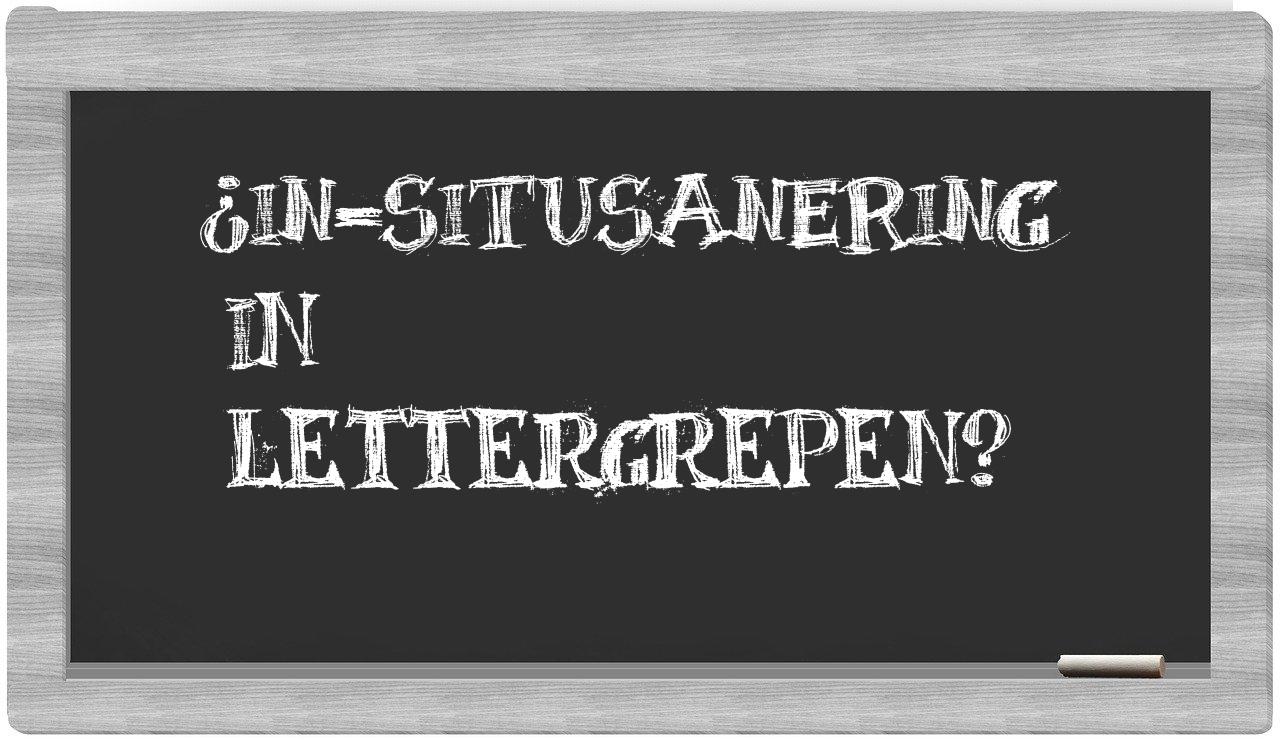 ¿in-situsanering en sílabas?