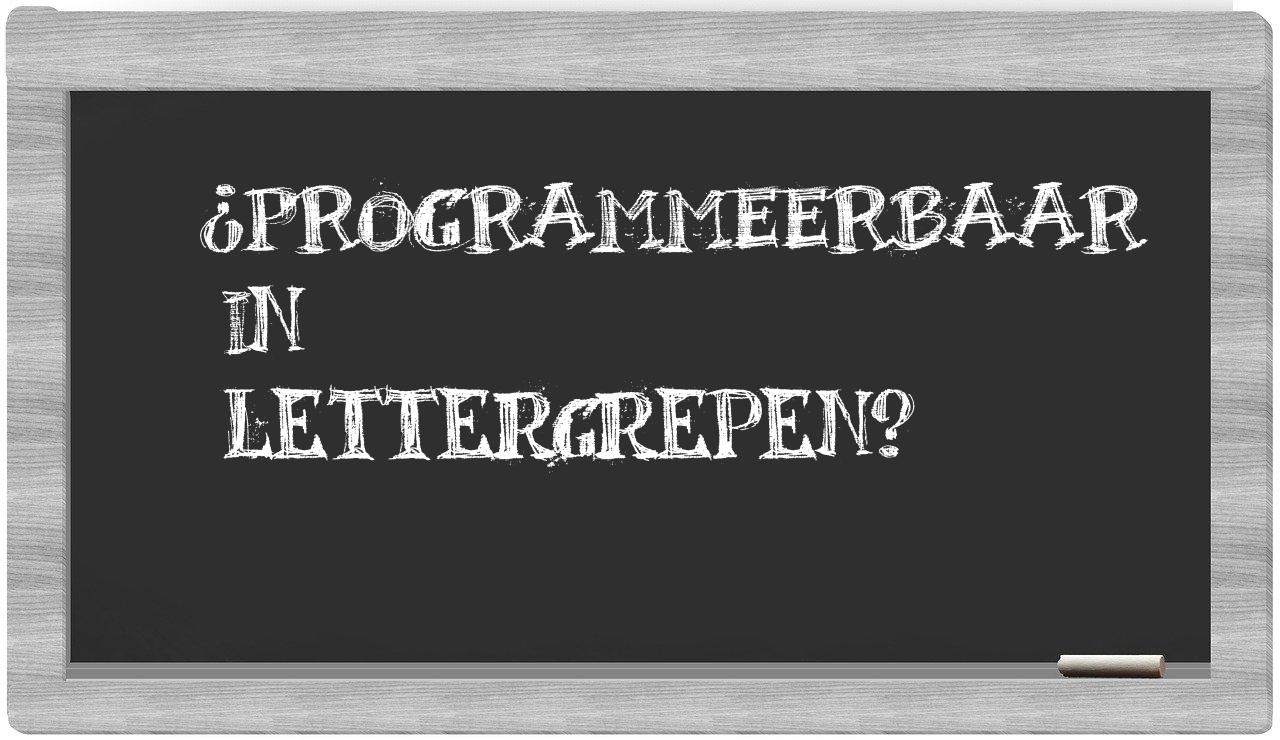 ¿programmeerbaar en sílabas?