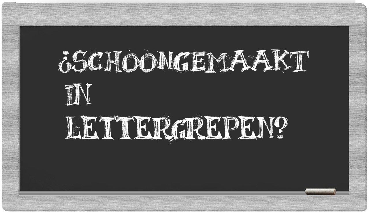 ¿schoongemaakt en sílabas?
